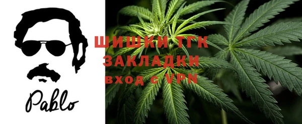 стаф Осташков