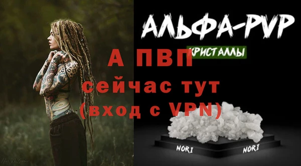 стаф Осташков