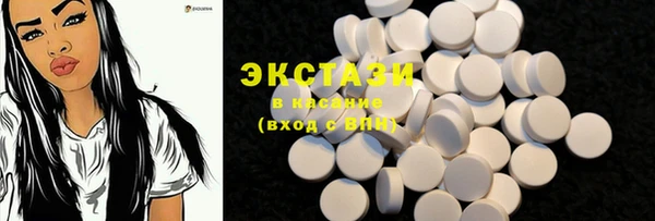 хмурый Алексин