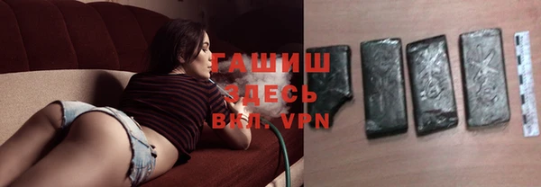 хмурый Алексин