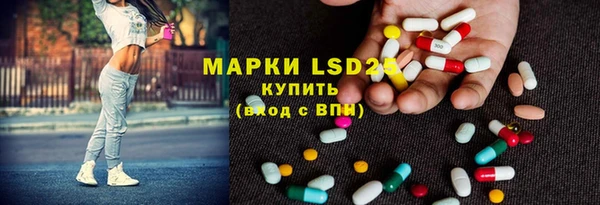 хмурый Алексин