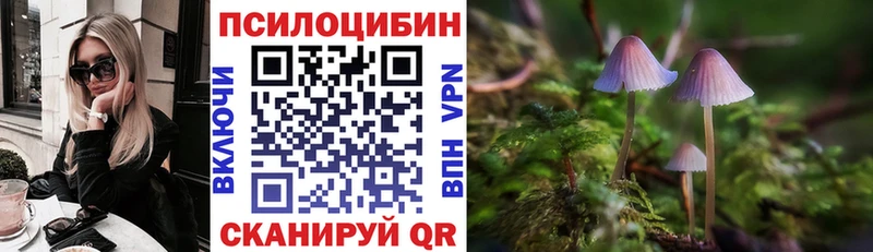 Псилоцибиновые грибы MAGIC MUSHROOMS  купить  сайты  Ишим 